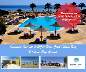 Summer Special Shoni Bay & Shoni Bay Resort - ORCA Dive Clubs