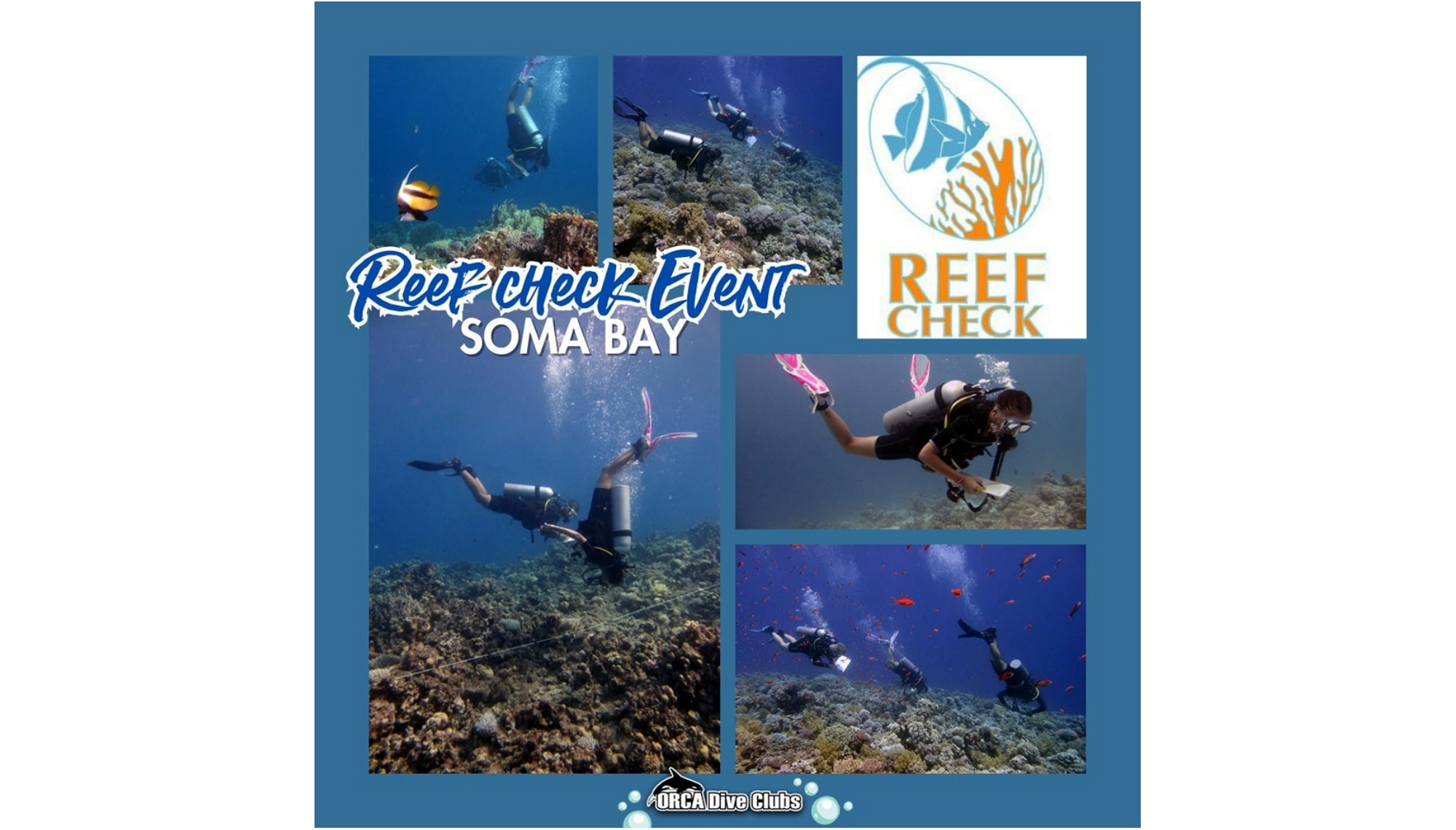 Reef Check Event at ORCA Dive Club Soma Bay