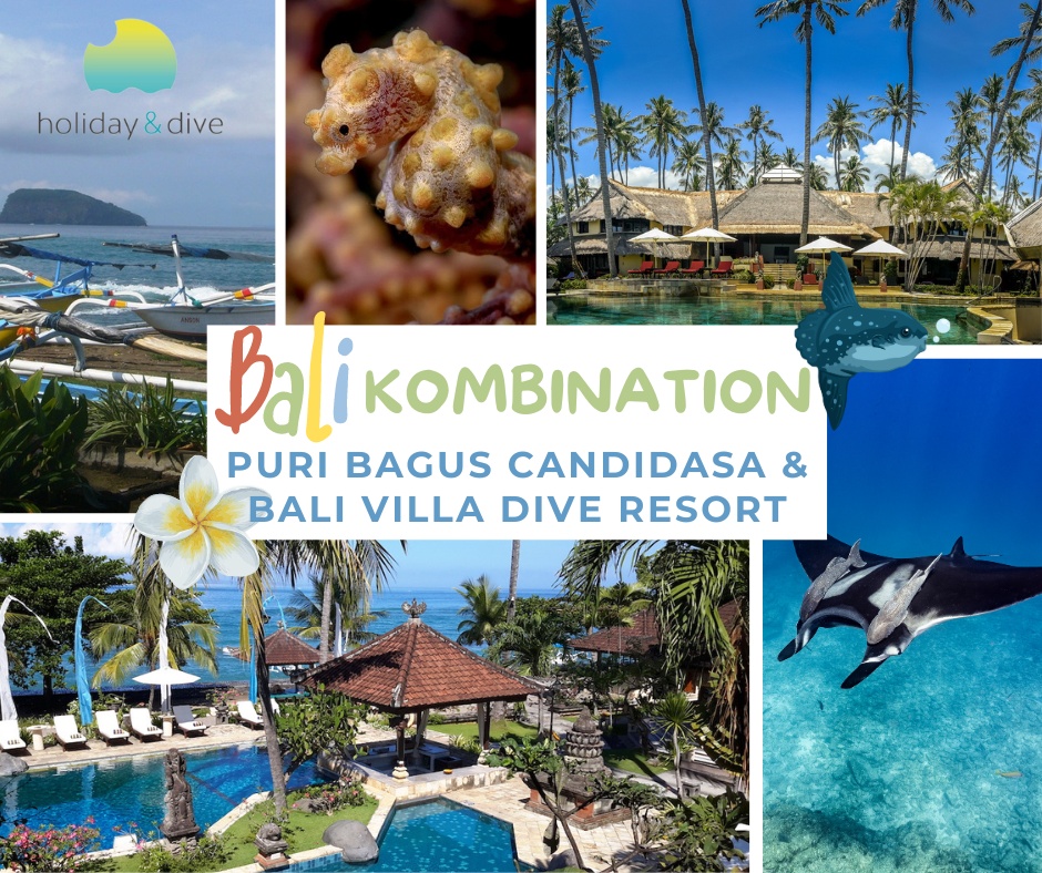 Bali Kombination ORCA Dive Club Puri Bagus Candidasa & Bali Villa Dive Resort