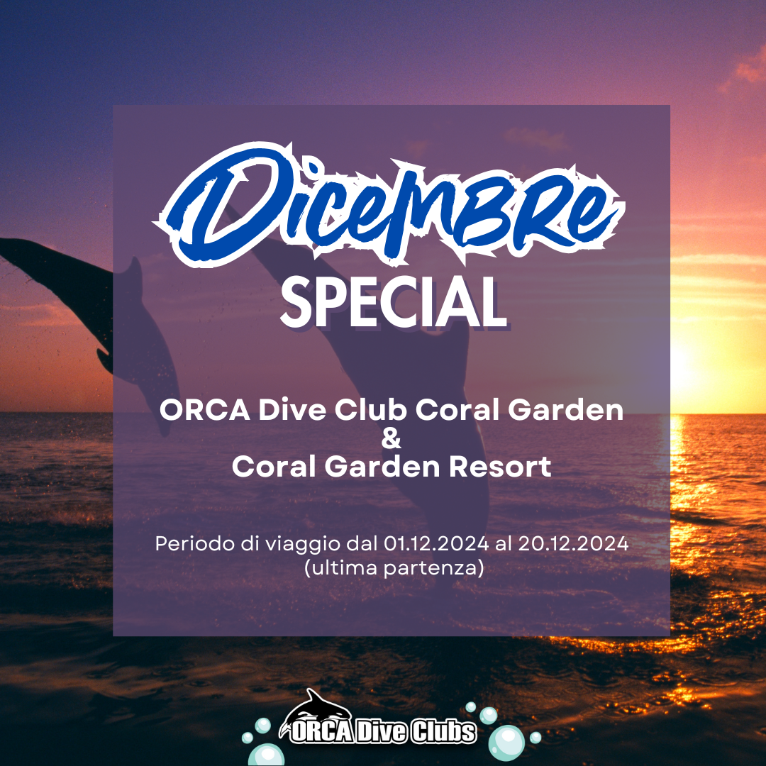 Speciale ORCA Dive Club Coral Garden Resort e ORCA Dive Club Coral Garden