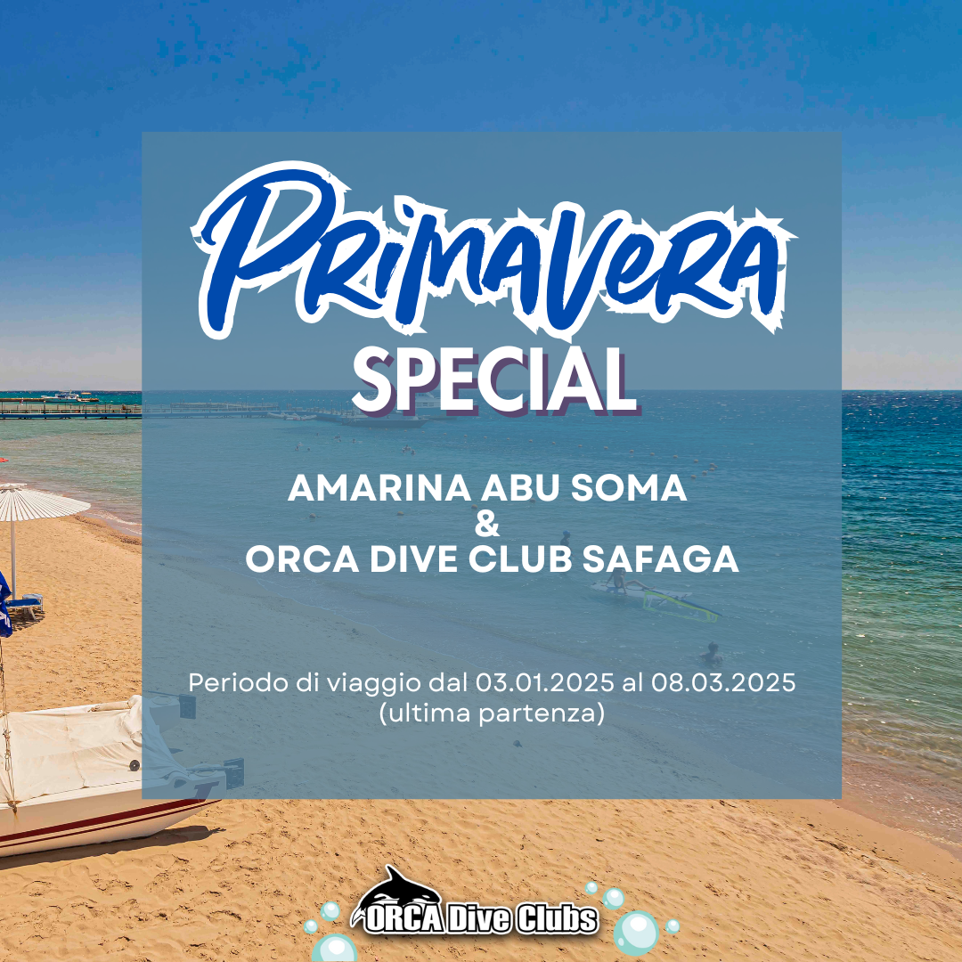 Speciale primavera Amarina Abu Soma & ORCA Dive Club Safaga