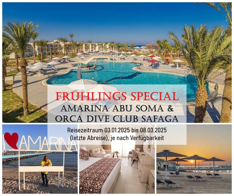 Frühlings Special Amarina Abu Soma & Orca Dive Club Safaga