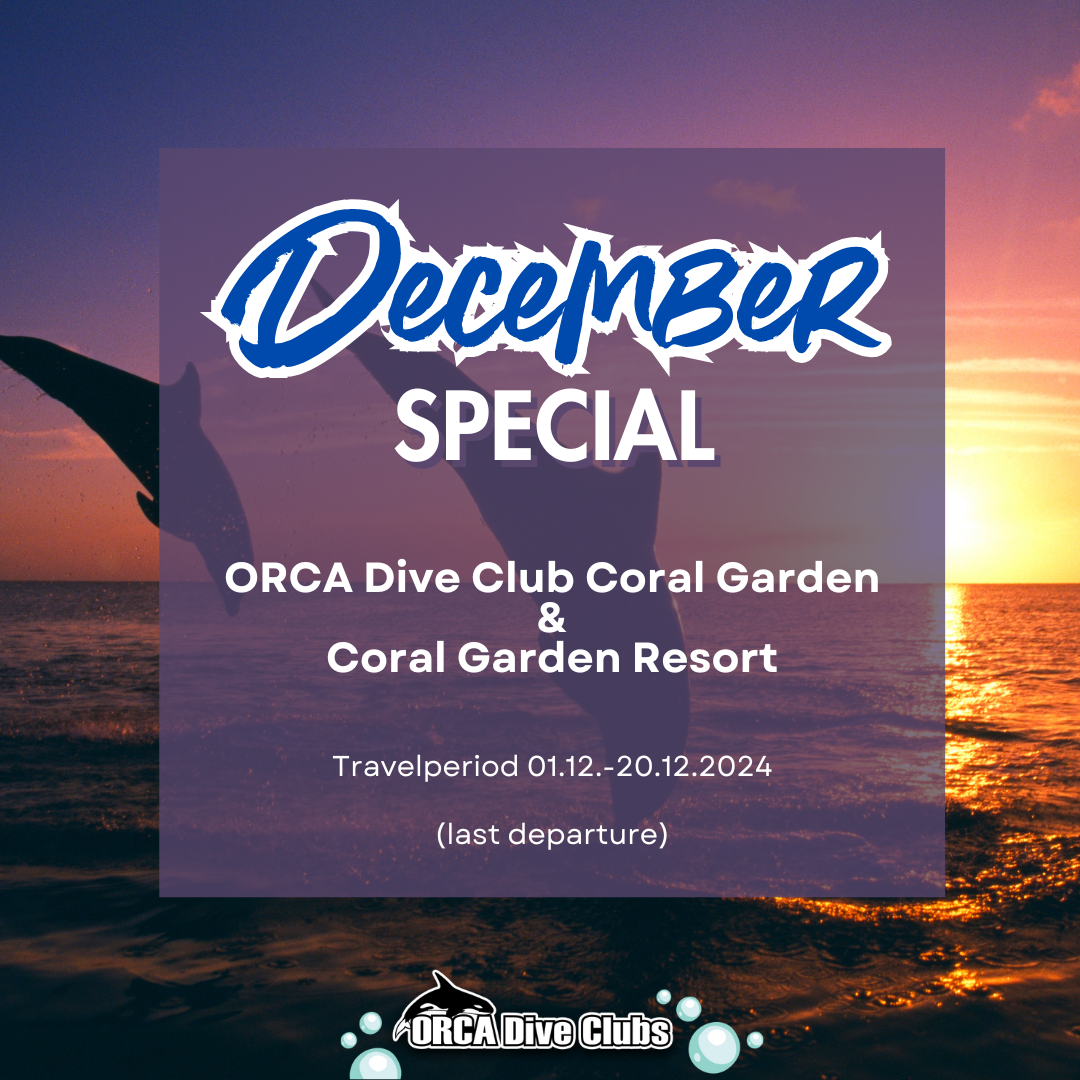 Special ORCA Dive Club Coral Garden Resort and ORCA Dive Club Coral Garden