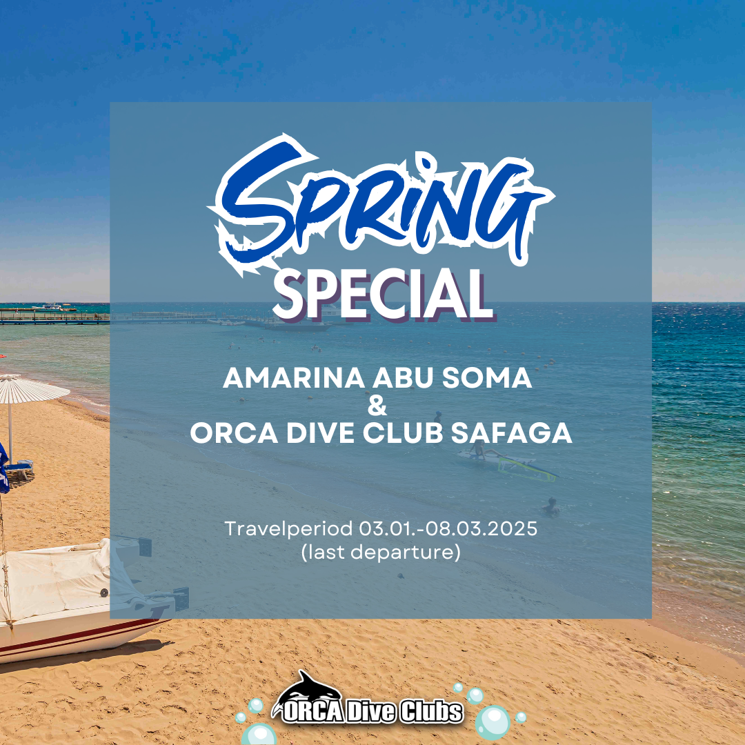 Spring Special Amarina Abu Soma & ORCA Dive Club Safaga