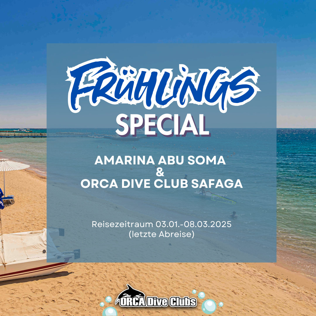 Frühlings Special Amarina Abu Soma & ORCA Dive Club Safaga