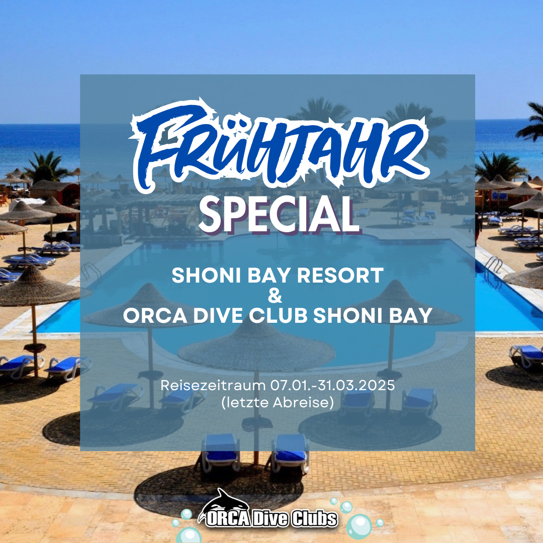 Special ORCA Dive Club Shoni Bay und Shoni Bay Resort