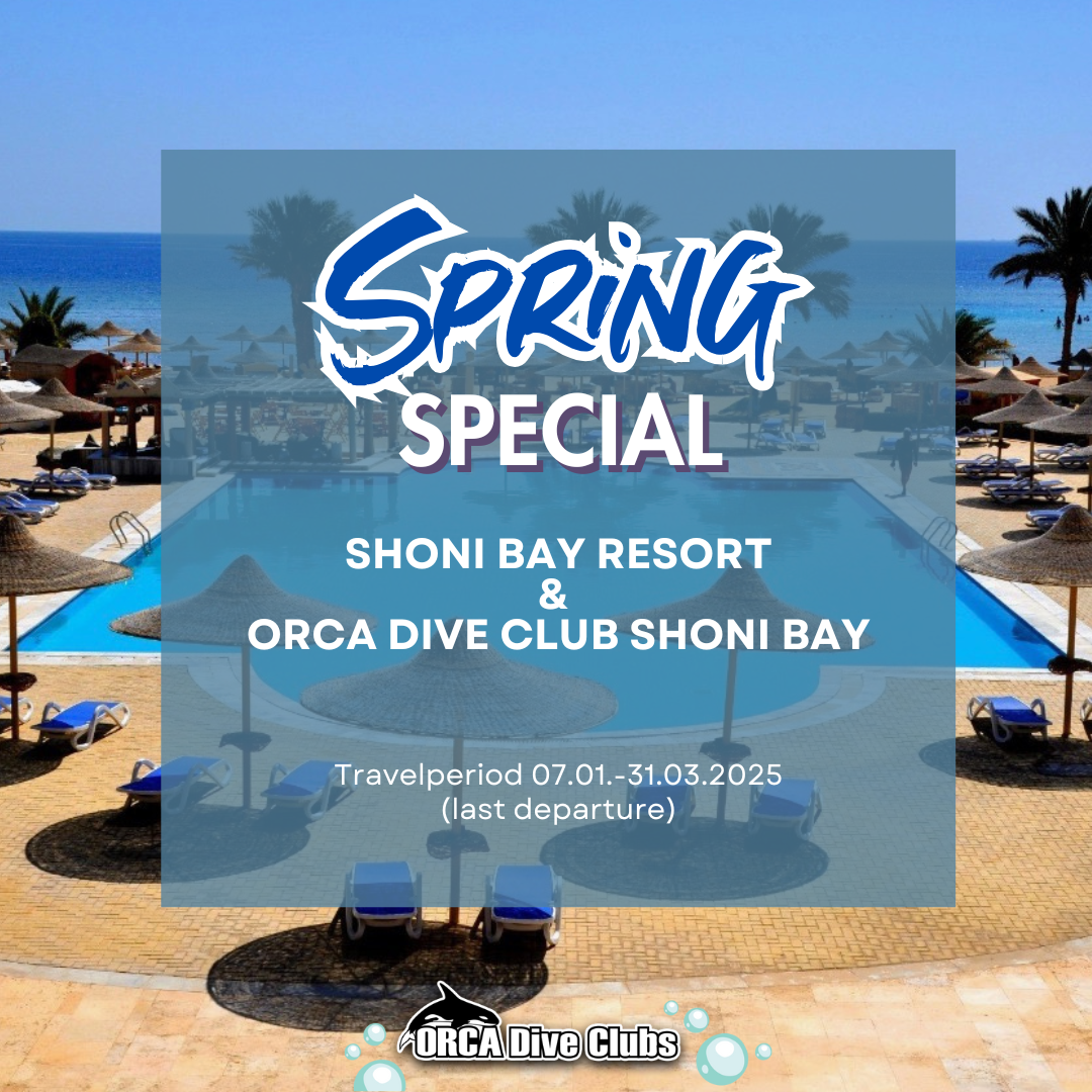 Special ORCA Dive Club Shoni Bay and Shoni Bay Resort