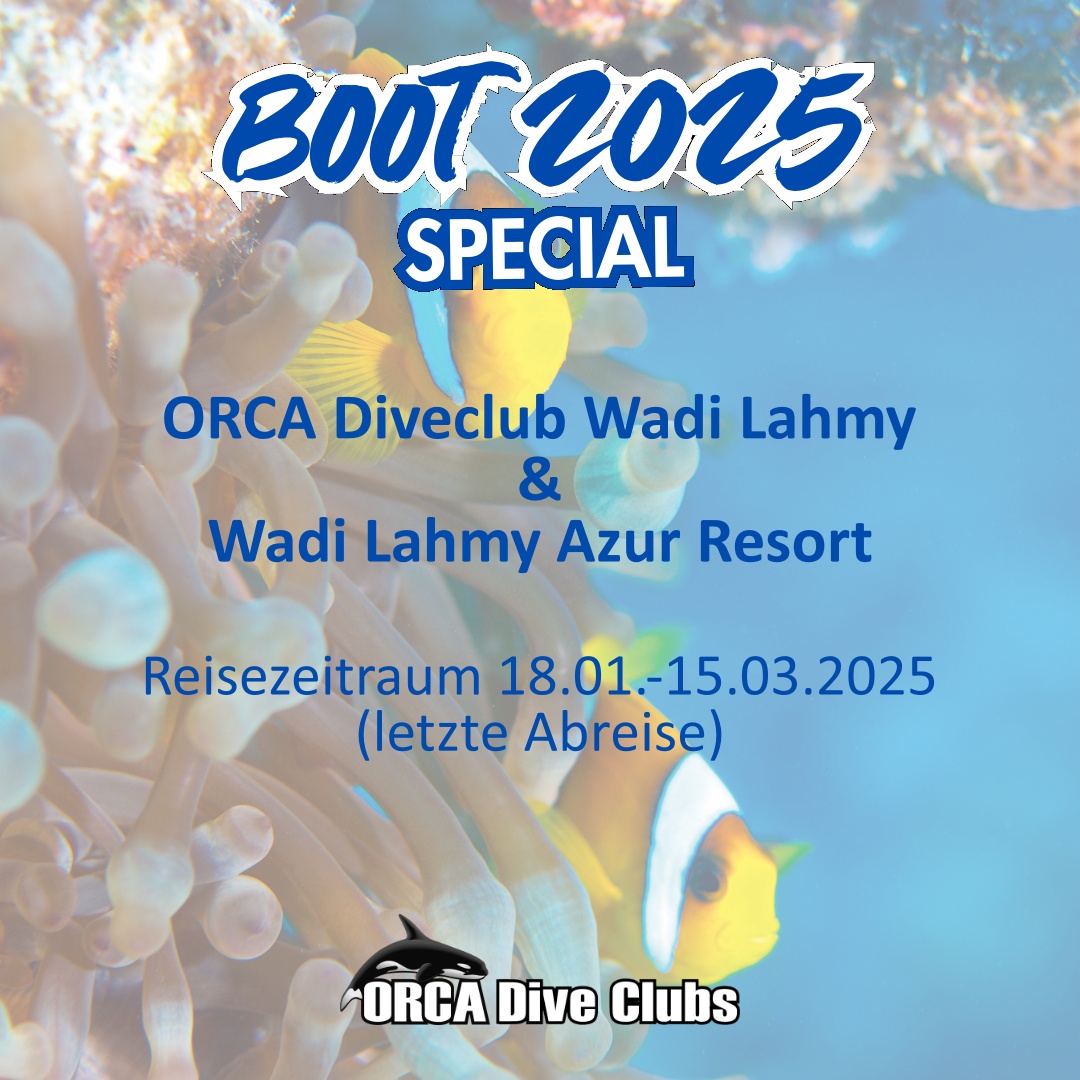 boot 2025 Special Wadi Lahmy Azur Resort & ORCA Dive Club Wadi Lahmy