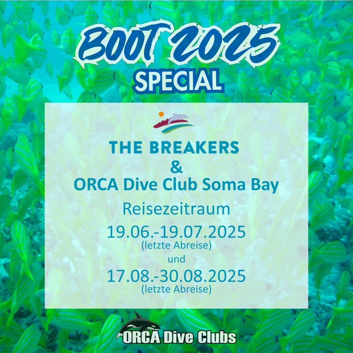 boot 2025 Special the breakers & ORCA Dive Club Soma Bay