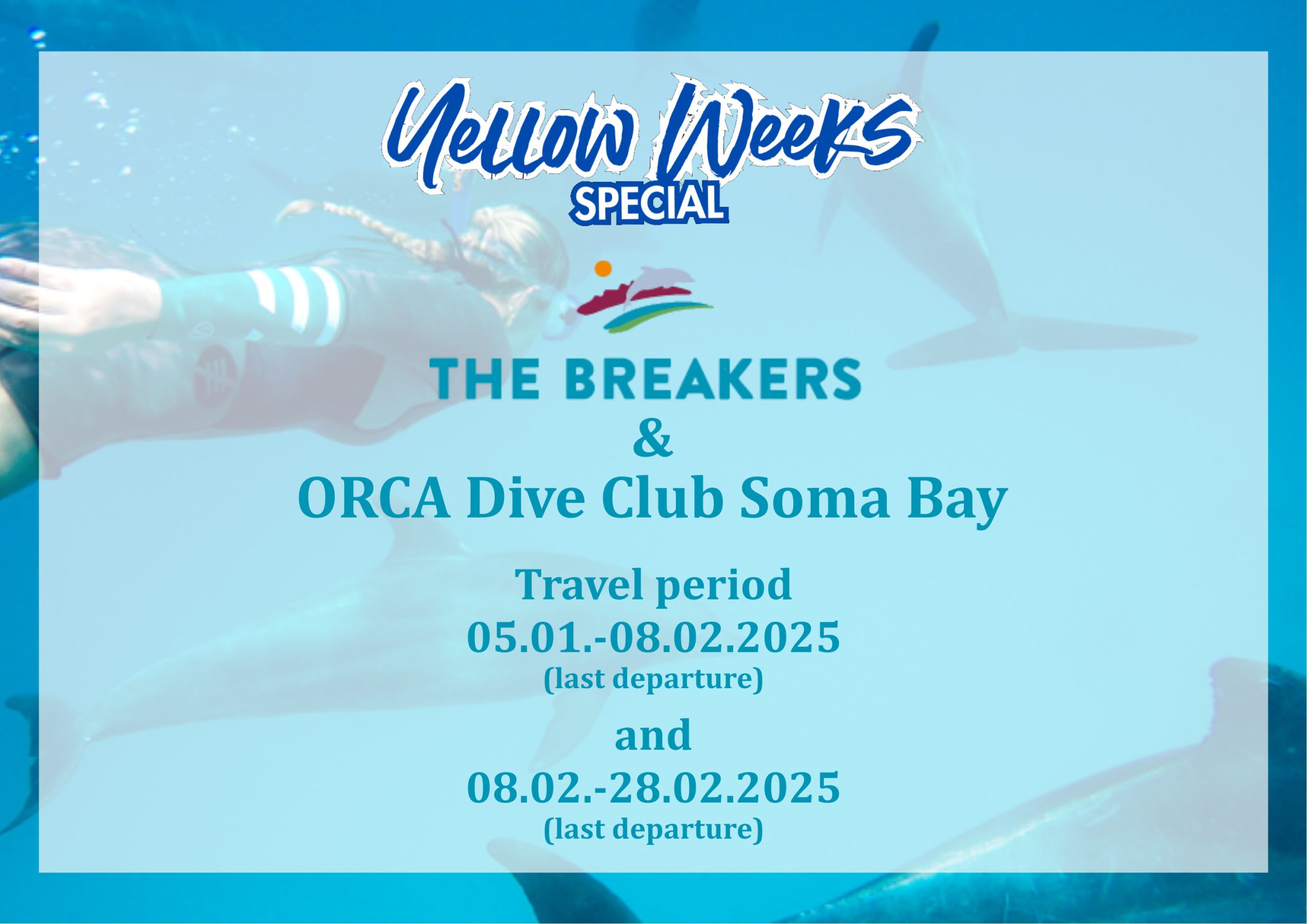 Yellow Weeks Special at ORCA Dive Club Soma Bay and The Breakers