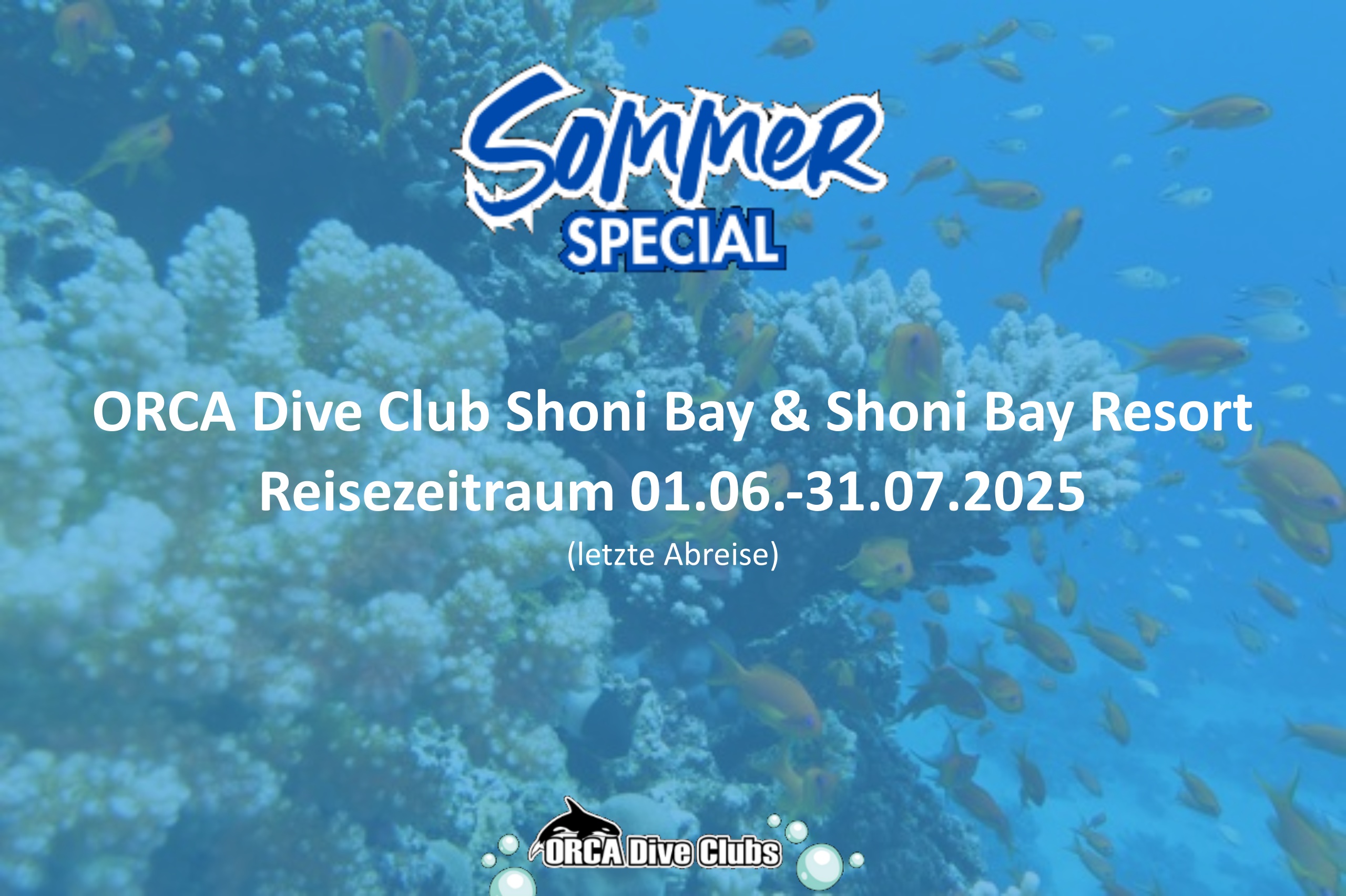 Sommer Special ORCA Dive Club Shoni Bay und Shoni Bay Resort