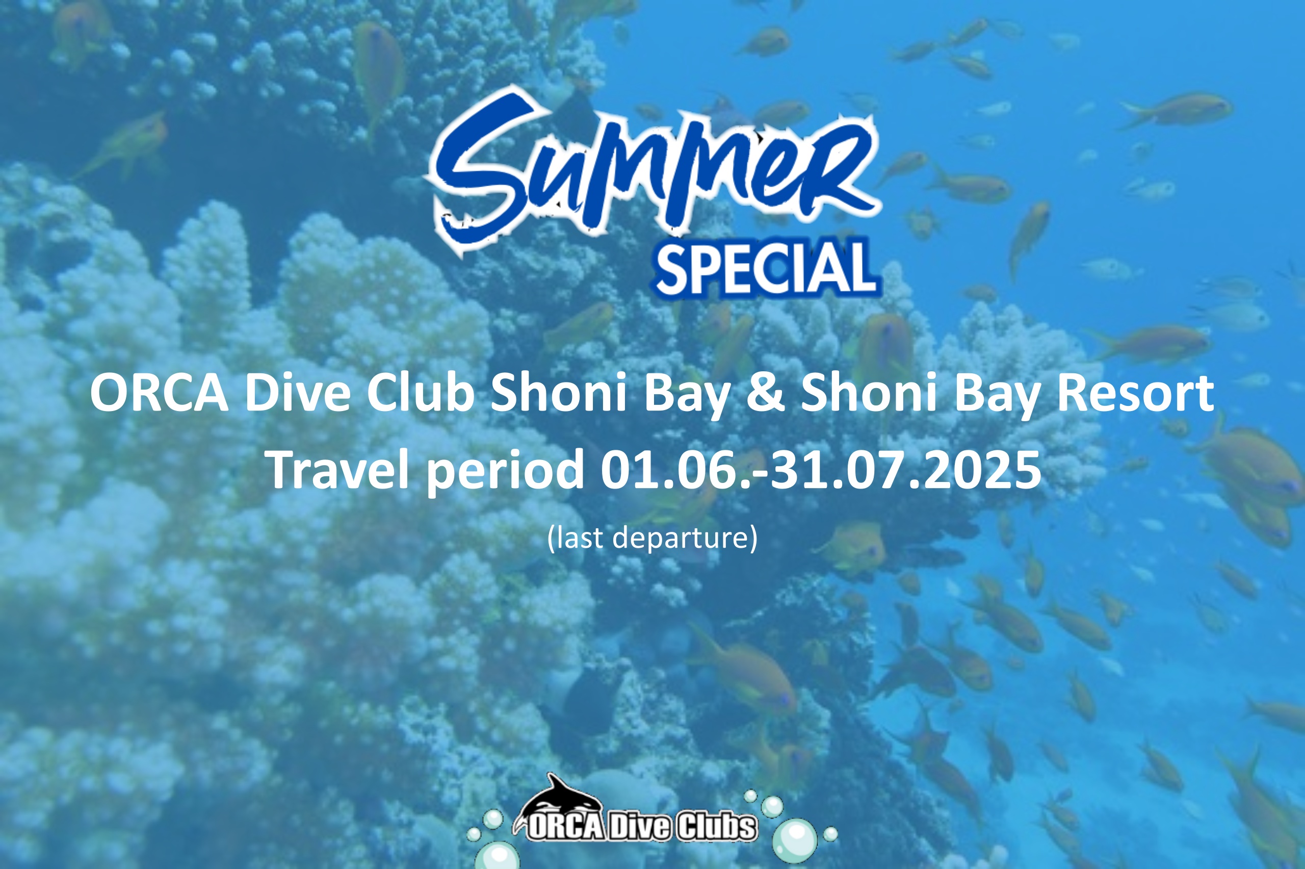 Summer Special ORCA Dive Club Shoni Bay und Shoni Bay Resort