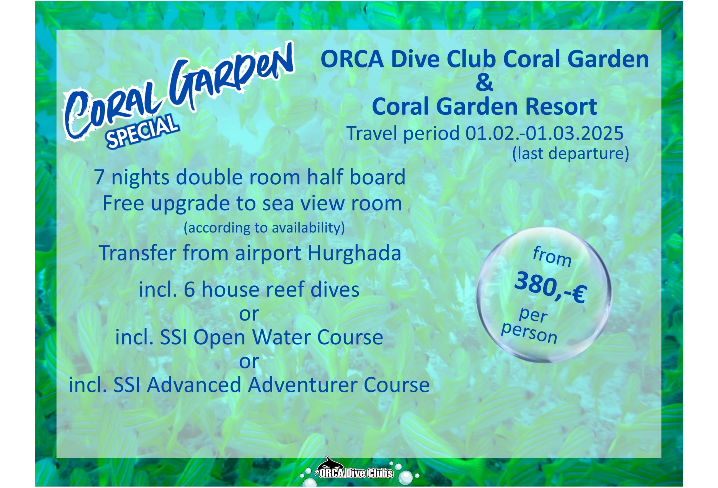 Special ORCA Dive Club Coral Garden and Coral Garden Resort