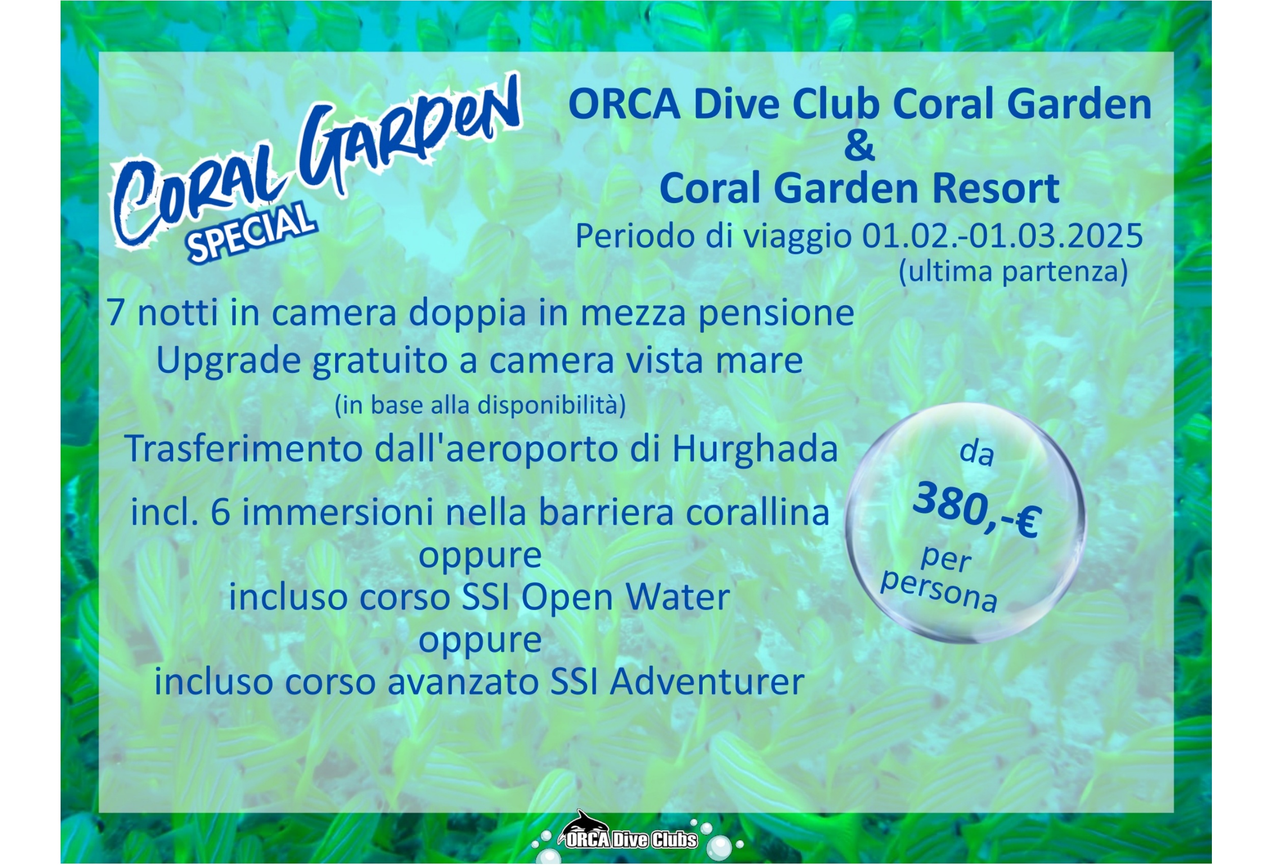 Speciale ORCA Dive Club Coral Garden e Coral Garden Resort