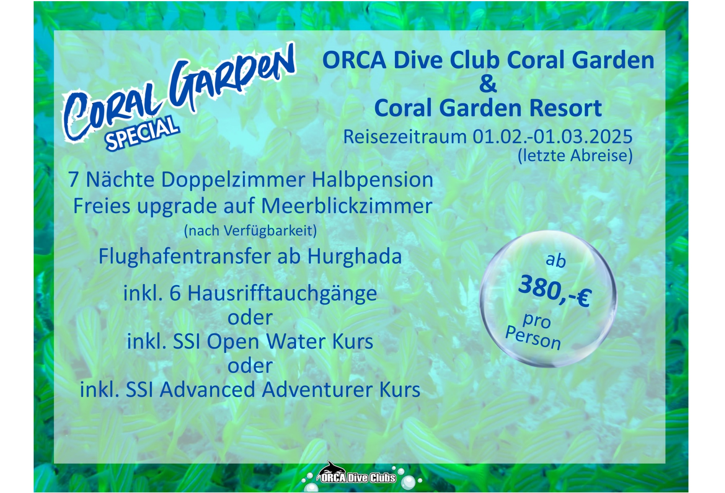 Special ORCA Dive Club Coral Garden und Coral Garden Resort